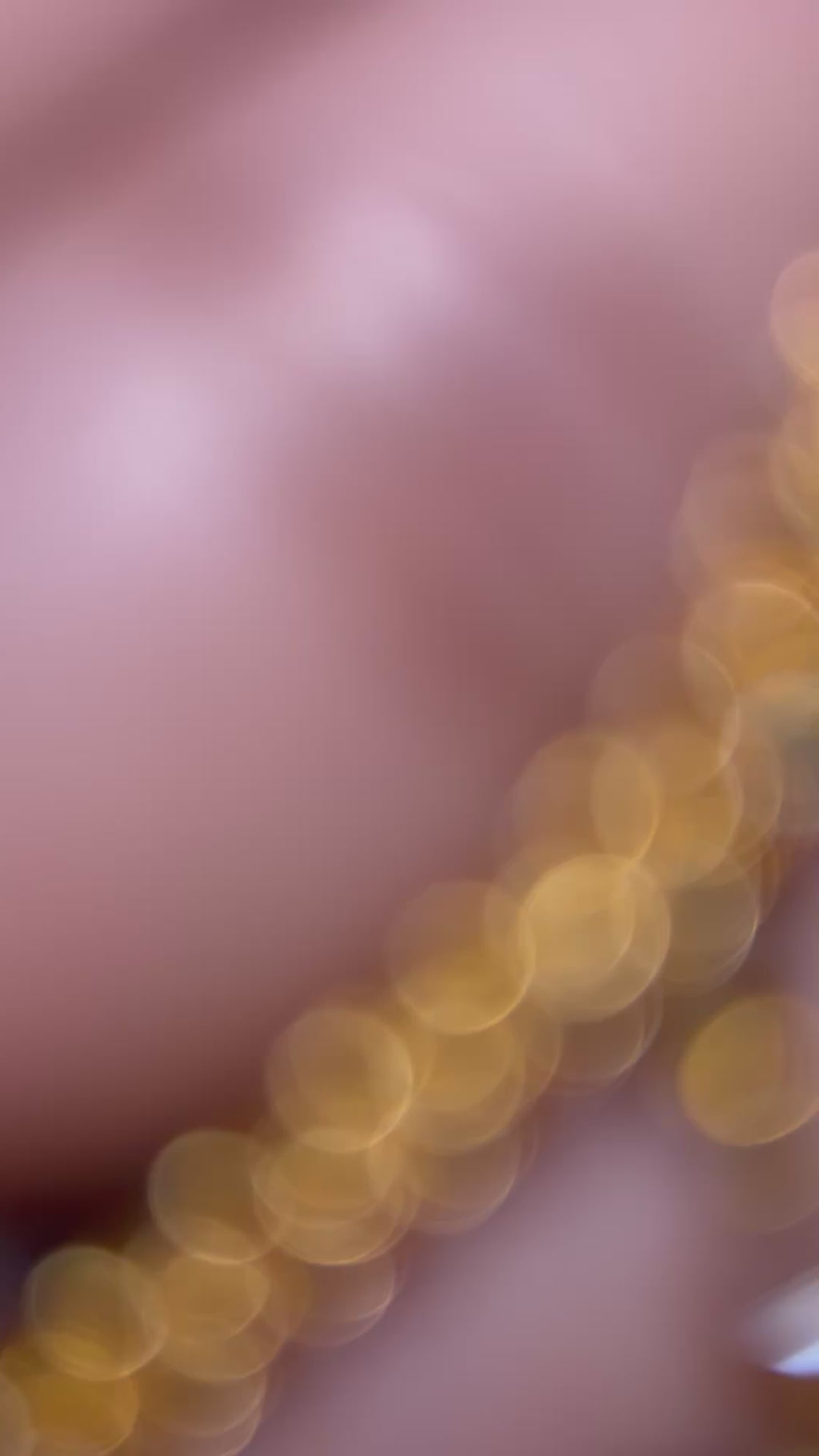 Pair of Saharas